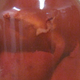 Image for article titled Pickled pig lips and Cajun Crawtators